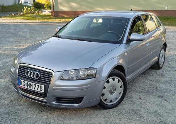 Audi A3 cena 19800 przebieg: 205000, rok produkcji 2005 z Stopnica małe 436